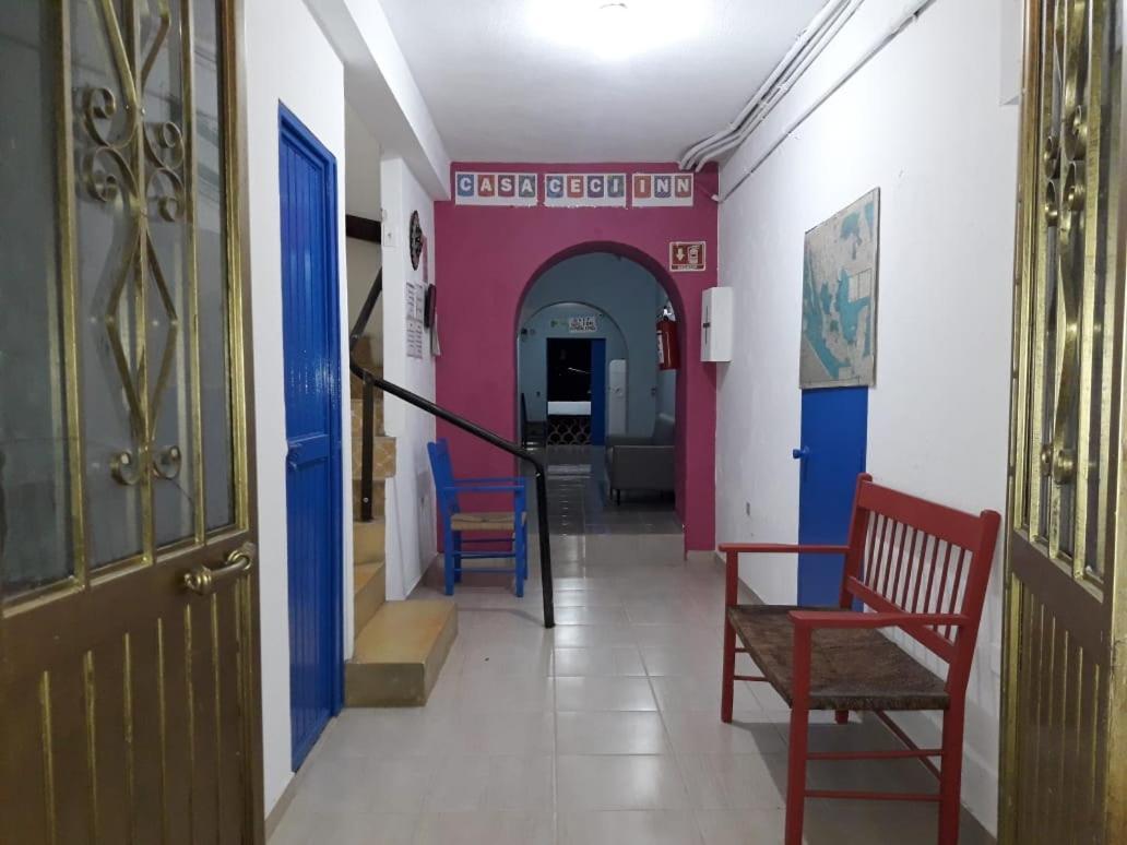 Hotel Casa Ceci Inn San José del Cabo Eksteriør bilde