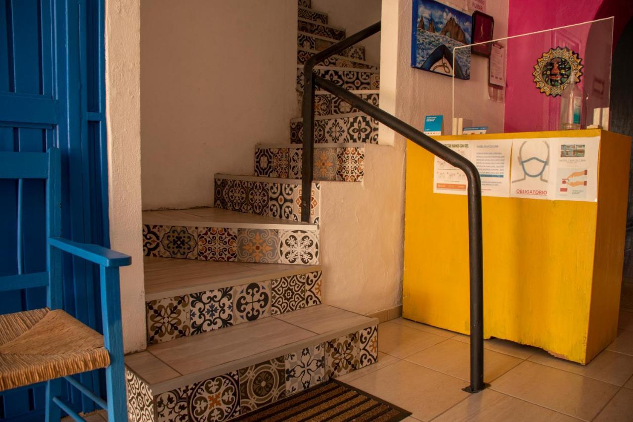 Hotel Casa Ceci Inn San José del Cabo Eksteriør bilde